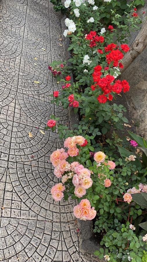 Casa Delle Rose Villa Catania Bagian luar foto